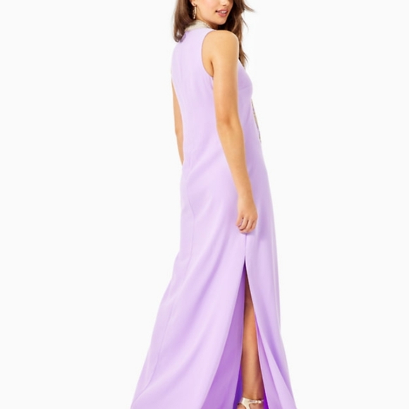 SZ 10 and SZ 6 Lilly Pulitzer Jane Maxi - Picture 4 of 9